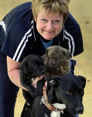 SPCA Otago chief inspector Virginia Pine holds the abandoned dog and pups at the SPCA in Dunedin....