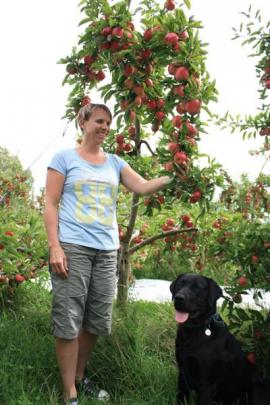 Springvale Orchard owner Maree Denniston and dog Kodi among organic royal gala apple trees...
