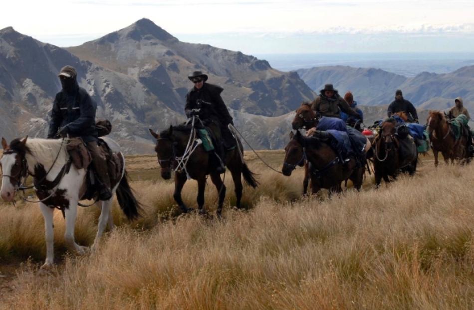 Strong winds chill riders on the Speight's packhorse traverse as they near the summit of Mt...