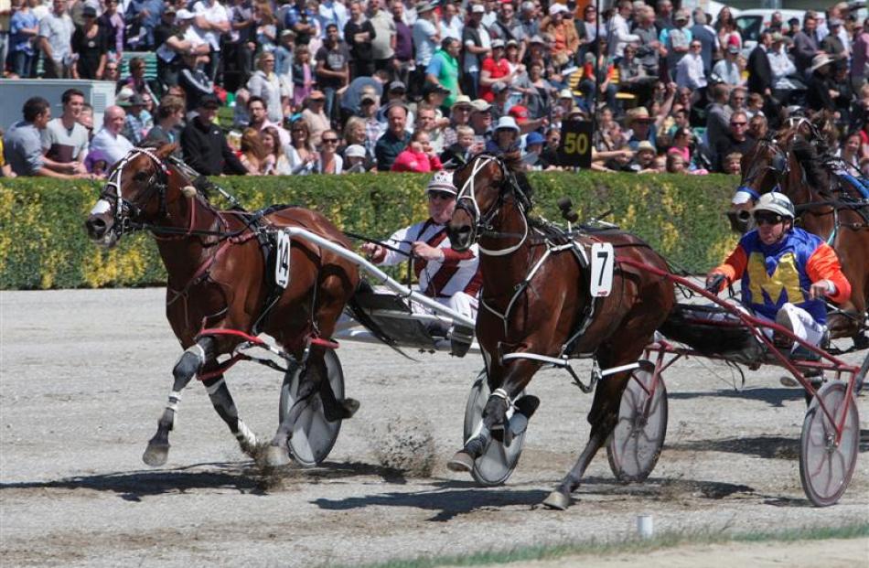 Stunin Cullen  (outer) has Ohoka Texas covered at the end of 3200m at Addington yesterday. Photo...