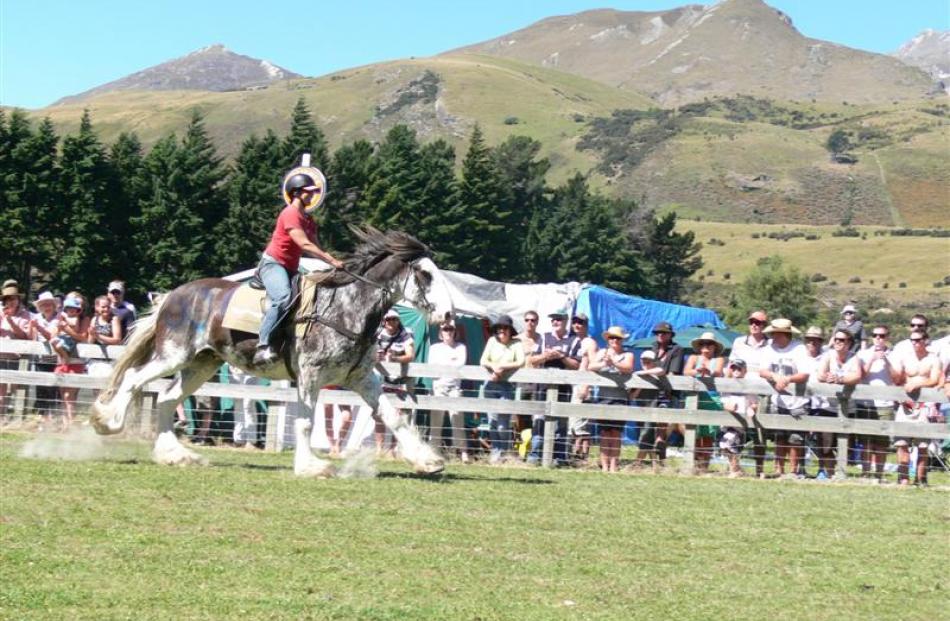 Sue Veint, of Wanaka, on Drum Major at the Glenorchy Races in 2007.  The 14-year-old Clydesdale...
