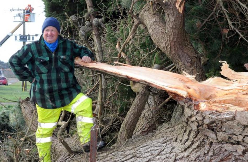 Taieri farmer Philip Wilson stands next to the tree that severed power lines on Saturday. In the...