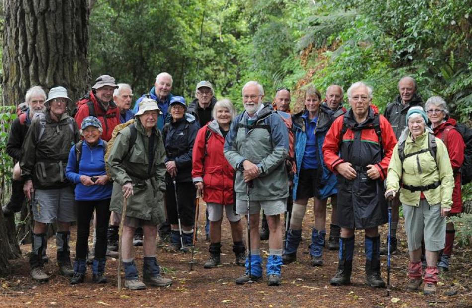 The Dunedin 60+ tramping club members  on their weekly tramp in Dunedin yesterday, as they...