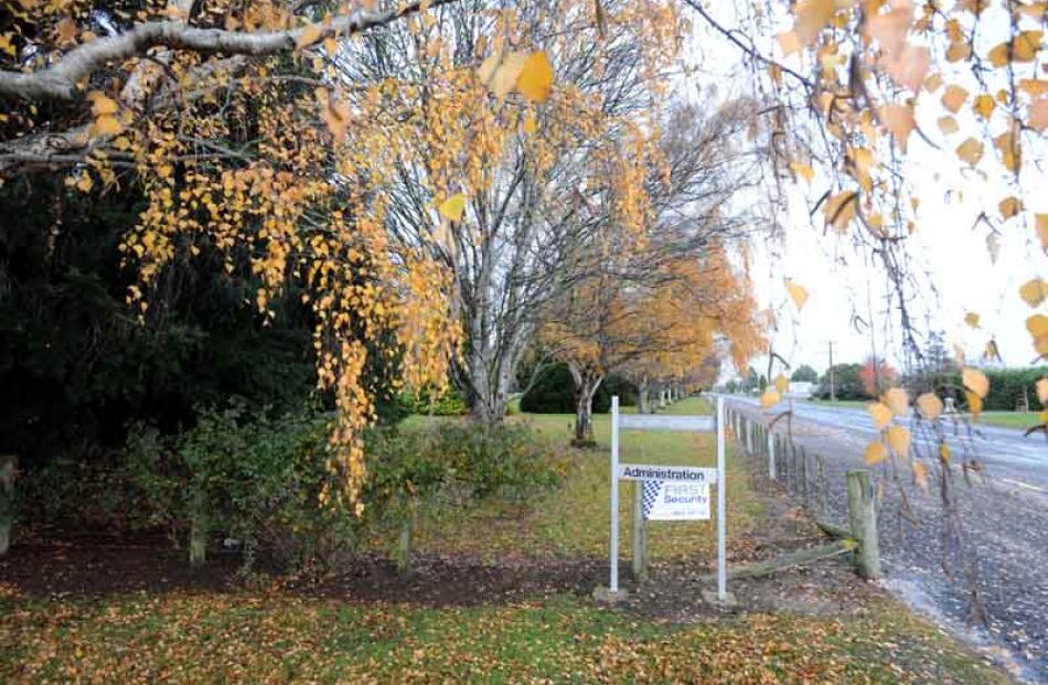 Trees on the former Fisher and Paykel site in Mosgiel may be threatened as Fonterra looks at...