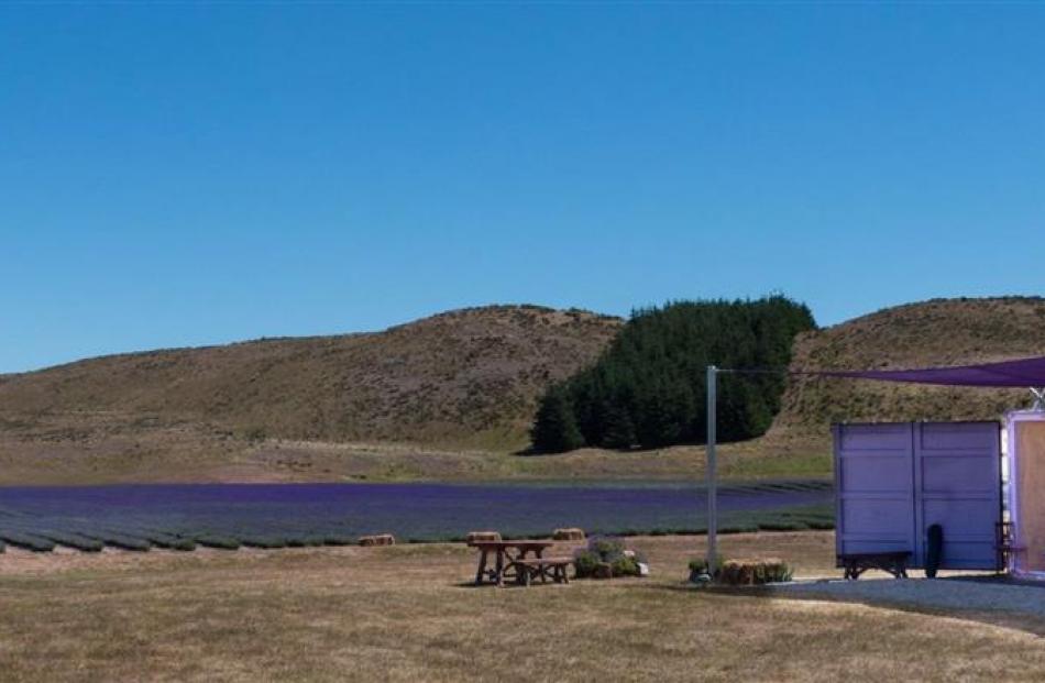 The farm shop at the  New Zealand Alpine Lavender organic farm in the Mackenzie district. Photos...