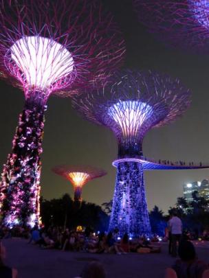 The futuristic grove of ''super trees'' at Gardens by the Bay light up to music during a show...