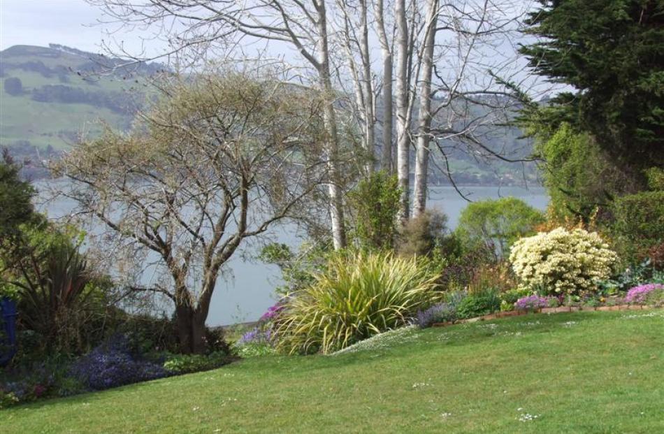 The garden of Jenny and Alwyn Scott features in a garden tour tomorrow. Photos by Gillian Vine.