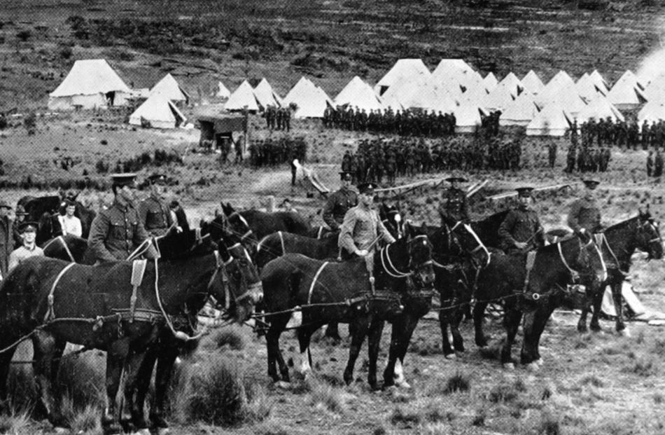 The horses and men of the R.N.Z. Artillery cadre that carried out the transport services at the...