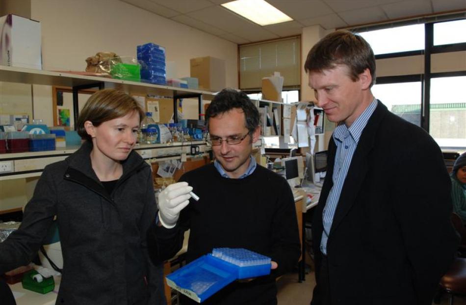 The inflammatory diseases research team, which just received further funding, is (from left) Dr...