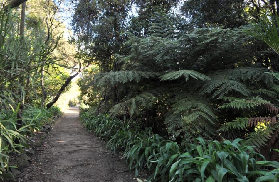 The many layers in this native border create a forest-like impression. Photo by Linda Robertson.