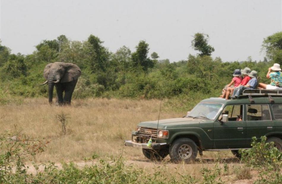 The McLeays on safari in Uganda.