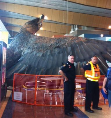 The promotional 'Hobbit' eagle was shaken down in Wellington Airport. Photo Twitter (@RKPriestley)