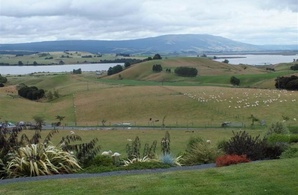 The Reids' front lawn and garden have been planned to ensure unimpeded views of Lake Waihola and...