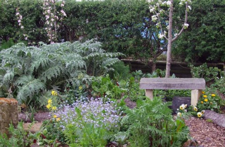The School of Natural Resources' permaculture garden. Photos by Gillian Vine.