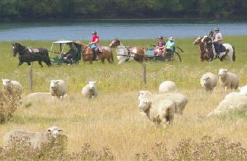 The Tussock Creek light wagon trail winds beside the Clutha River near Clydevale.