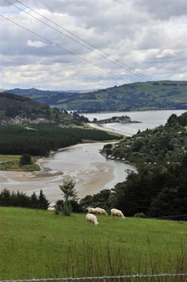 The view of Purakaunui inlet when driving from Dunedin.
