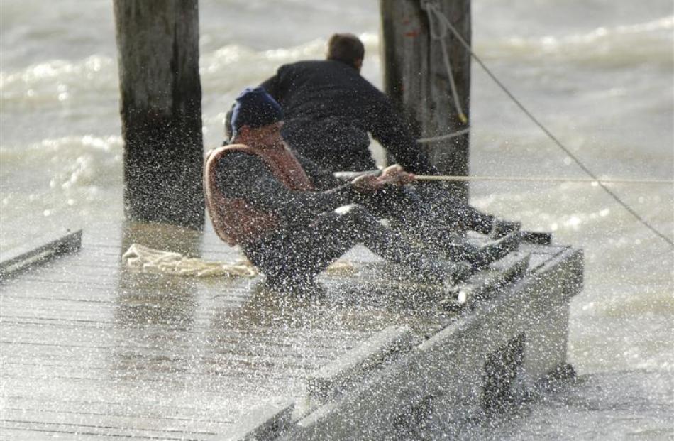 Tony Marcinowski attempts to secure a 10m long  longship to a jetty at Macandrew Bay yesterday....