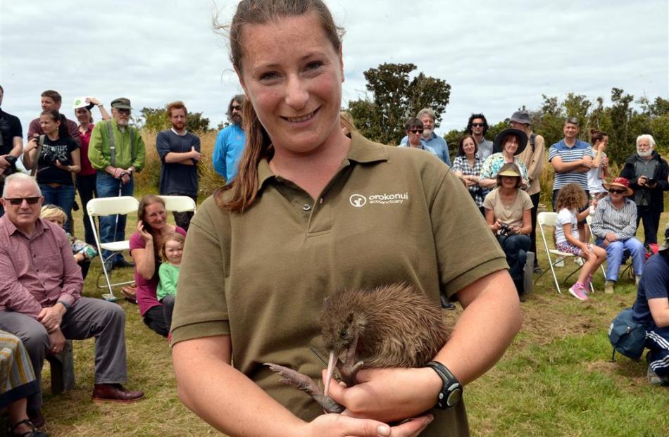 Tuatahi, held by Orokonui Ecosanctuary head ranger Kelly Gough, was the first of 10 Haast tokoeka...