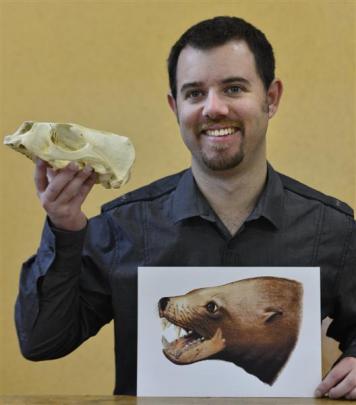 University of Otago PhD student Robert Boessenecker holds a modern New Zealand fur seal skull and...