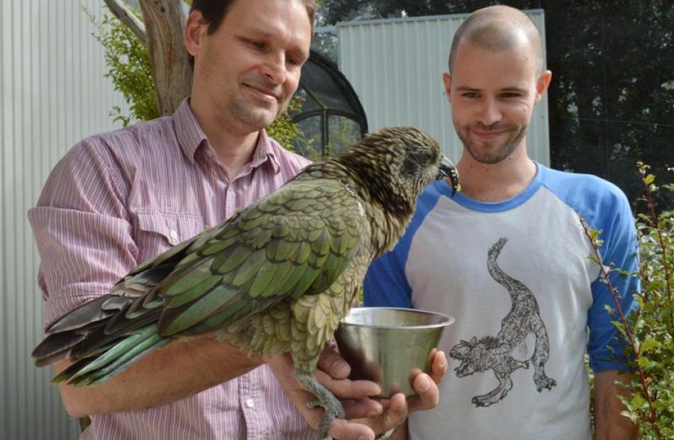 University of Otago scientists Dr Bruce Robertson (left) and  Dr Nicolas Dussex feed a kea at...