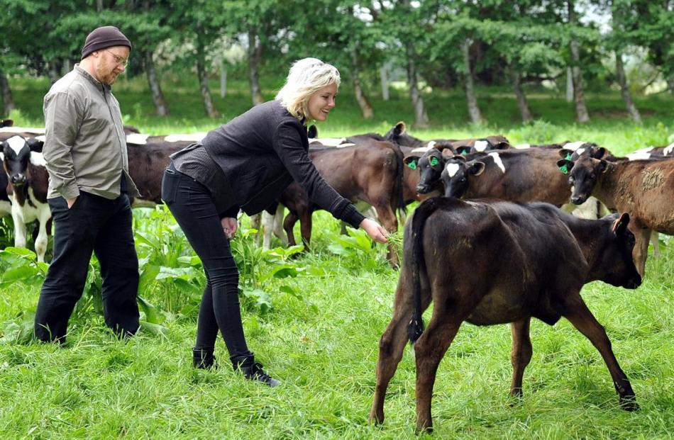 Vegans Carl Scott and Tayla O’Driscoll, of Dunedin, offer friendship and understanding to a herd...