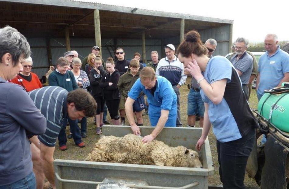 Veterinarian Donald Murray teaches lifestyle block owners about sheep care at a Taieri Farm Club ...