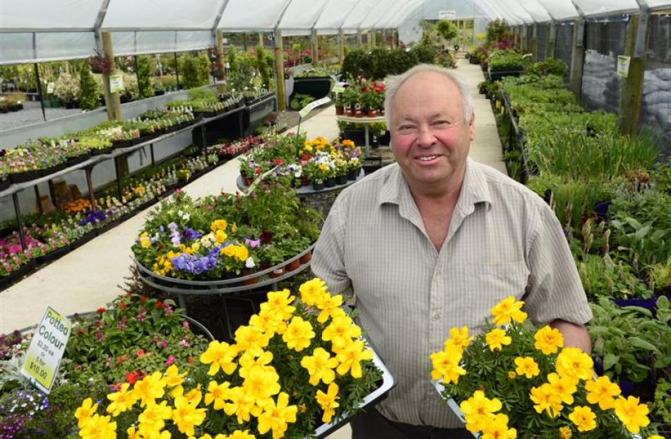 Wal's Plant Land owner Clive Wallis is turning his Mosgiel business venture into a destination....