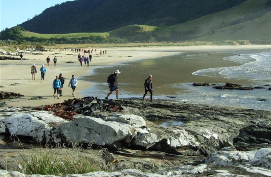 Walkers start the trek to Papatowai from Purakaunui Bay during the 2013 Catlins Great Escape...