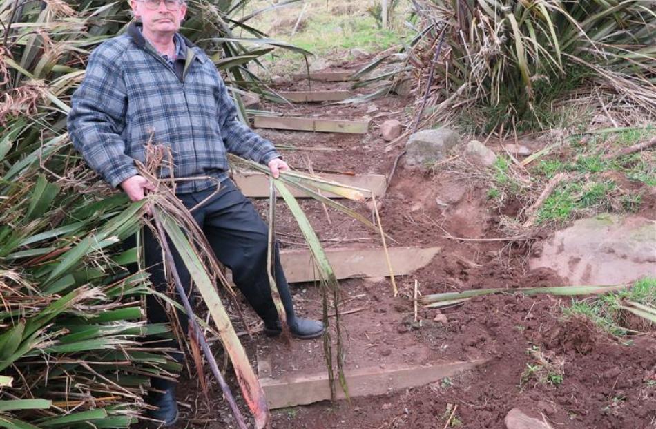 Waverley resident Wayne Allen examines the damage caused by wayward cattle on the Soldiers'...