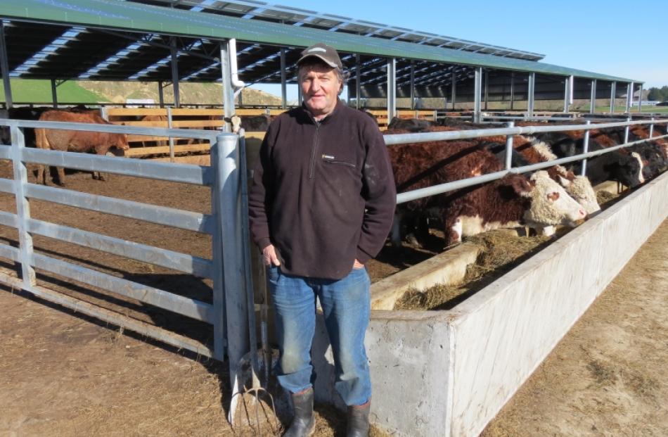 Wendonside farmer Mike Thompson has built a wintering barn for his beef cattle. Farm worker Evan...