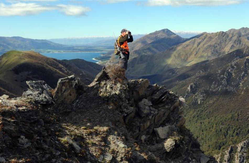 With Lake Hawea and the Hawea township well below, Wal Shuttleworth glasses for deer from a rocky...