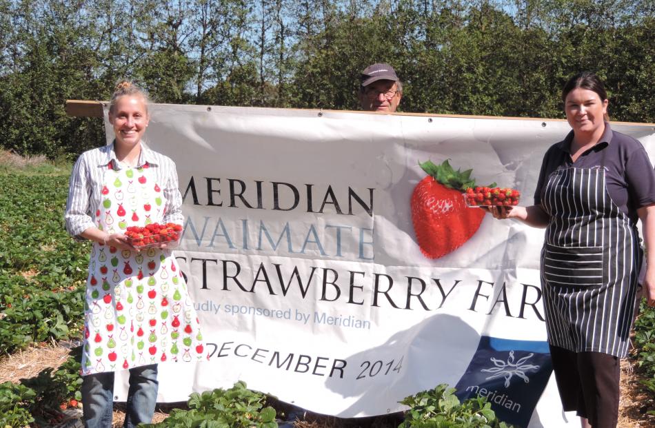 With Waimate's Strawberry Fare only a fortnight away, Butler's Berry Farm staff (from left)...