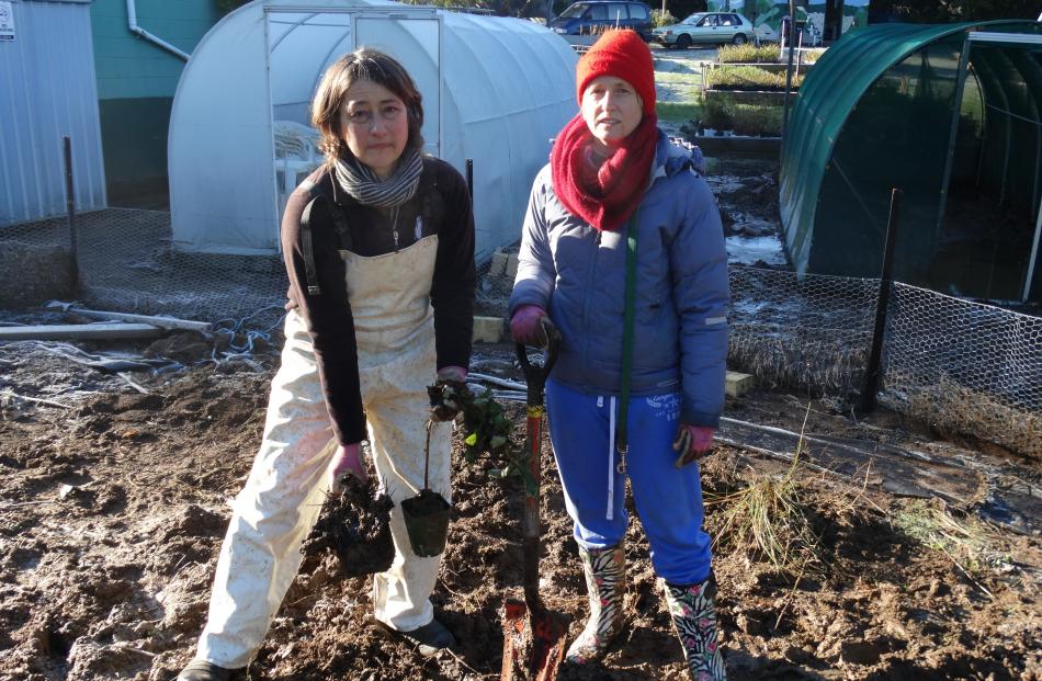 Yellow Eyed Penguin Trust Company Bay nursery employees Anita Pillai (left) and Louise Ashton are...