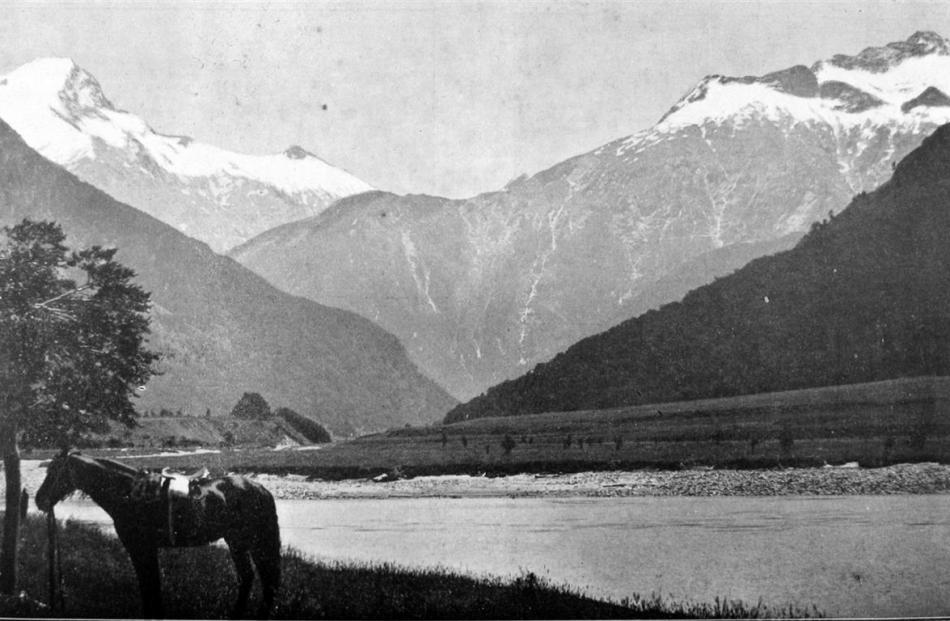 A scene in  the Wilkin Valley, Makarora, at the head of Lake Wanaka. — Otago Witness, 19.4.1916