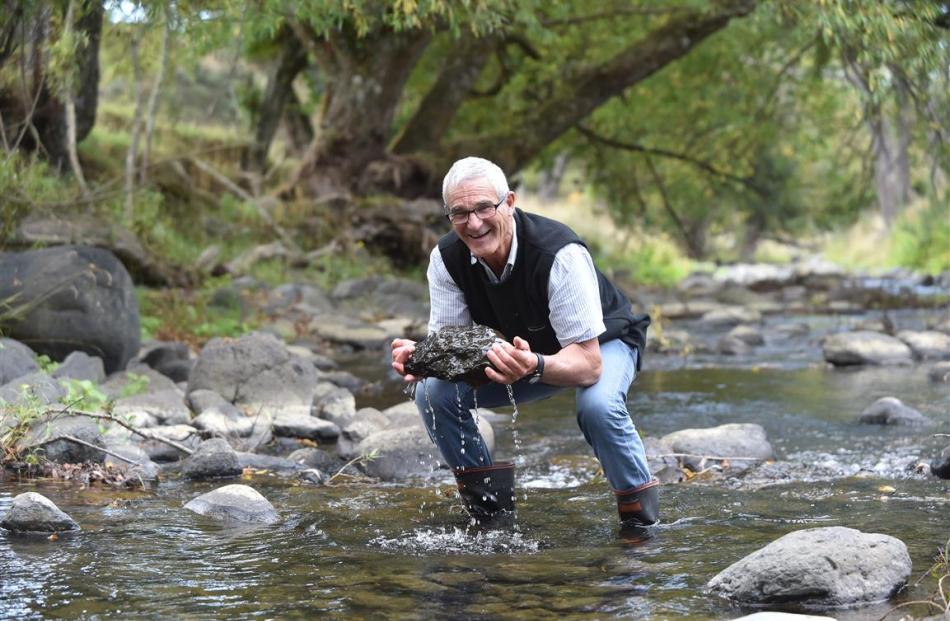 David Blair shows what clean water looks like at the Waitati Stream yesterday. Photos by Peter...
