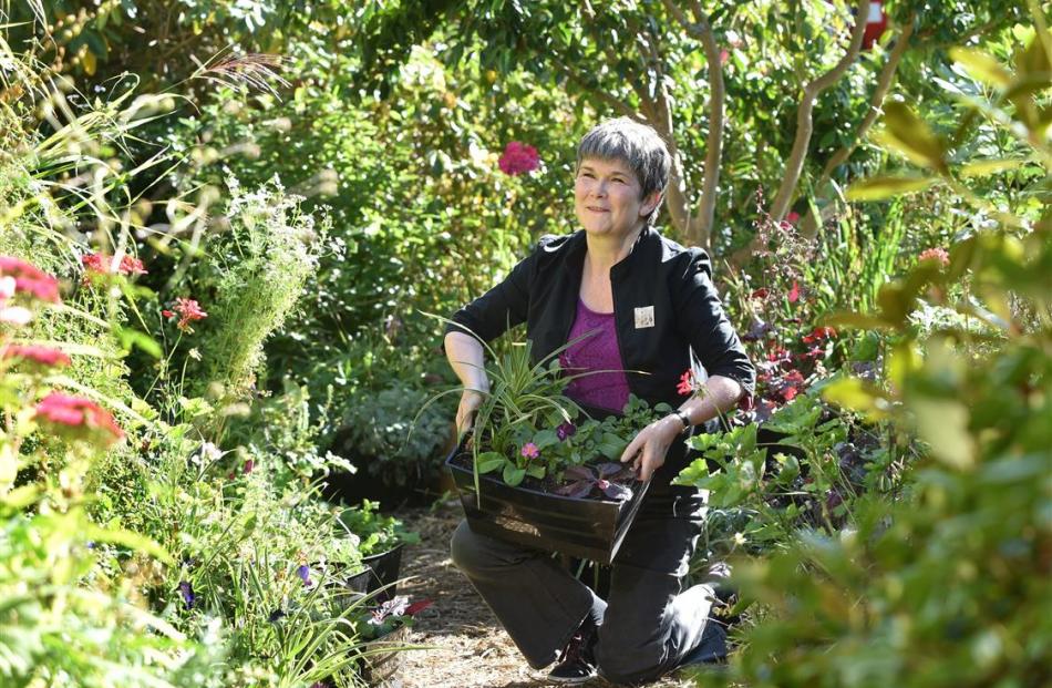 Gardens To Go Go founder Fiona Parker, at her Dunedin home. Photo by Peter McIntosh.