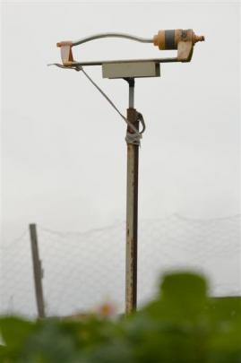 Irrigation is vital for good vegetable growing.