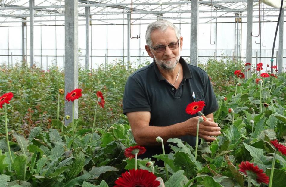 John van Delft is retiring and selling The Greenhouse Florist, which he has run with his wife...