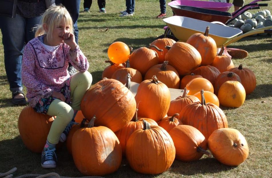 Lily Adams (7), of Alexandra, finds a seat to watch the action at the inaugural Roxburgh Pumpkin...