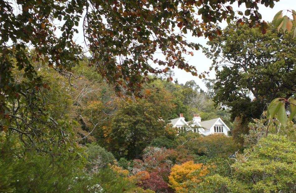 Through the trees at Glenfalloch, the upper storey of the Homestead can be seen. Photos by...