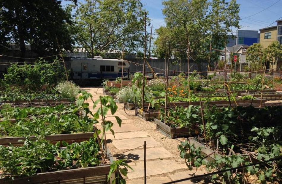 A City Slicker Farms plot in West Oakland, California. Photo by Wikimedia Commons.