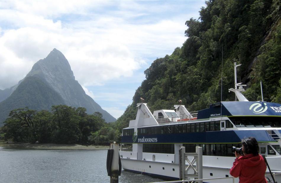 A tourist photographs Milford Sound earlier this year. Photo by Allison Beckham.