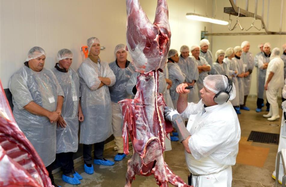 Chris Anderson bones a deer carcass at Duncan South. The cuts are destined for US and European...