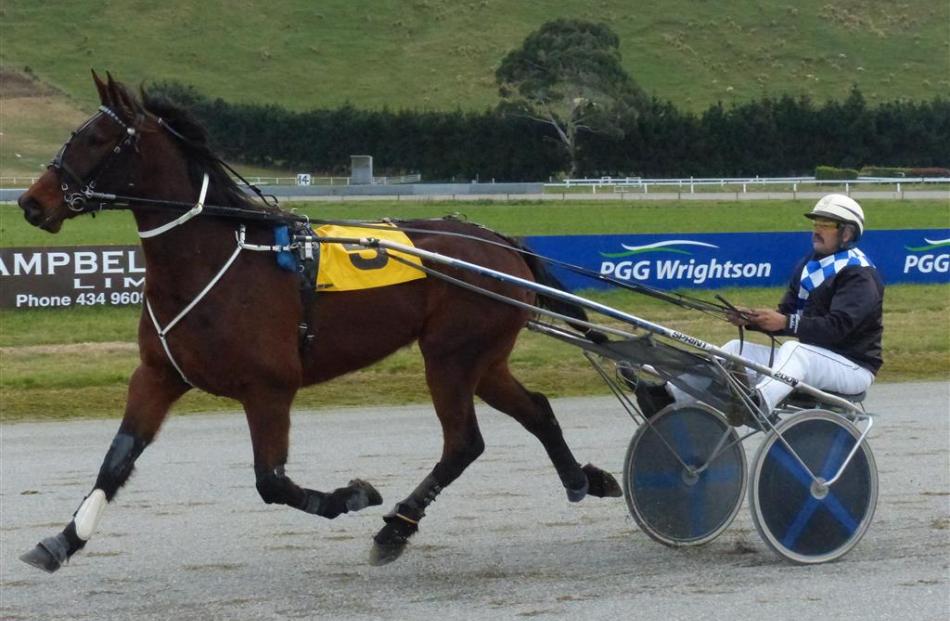 Pyramid Magic is the best of Phil Williamson's three runners at Forbury Park tonight. Photo by...