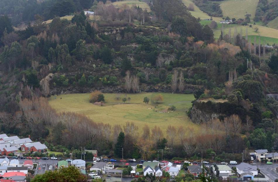 A Christchurch land owner is planning to sell part of the former Palmers Quarry Garden in...