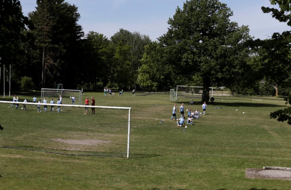 Children attend a training session in a soccer pitch, which has an oak tree right in the middle,...