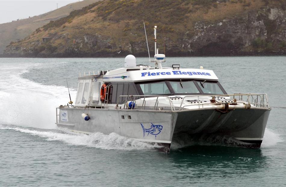 Peter Scott’s latest boat, Fierce Elegance,  enters the Otago Harbour. Photos by Stephen Jaquiery.