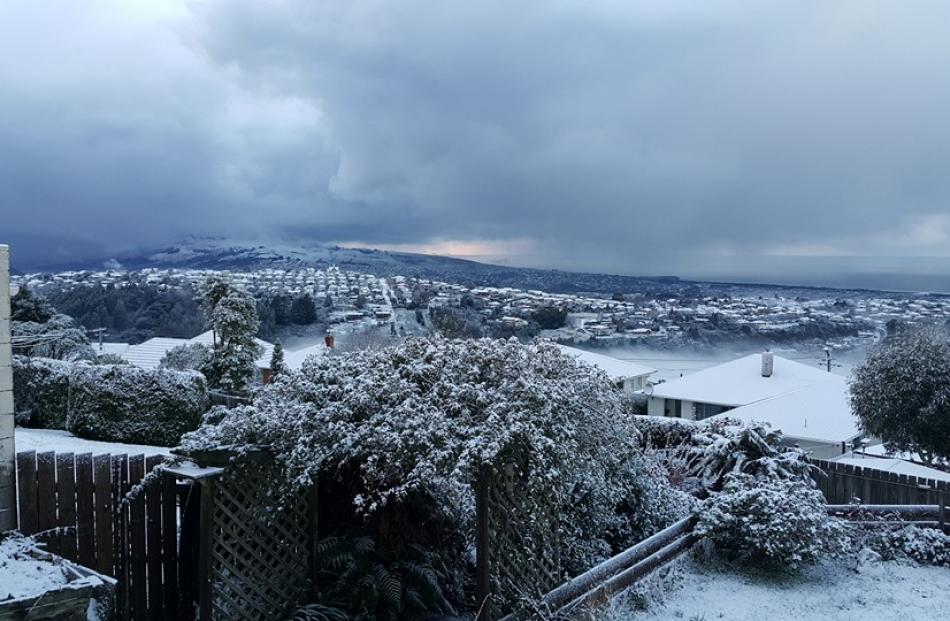 Brockville snow. So beautiful. Alysha Gibbs