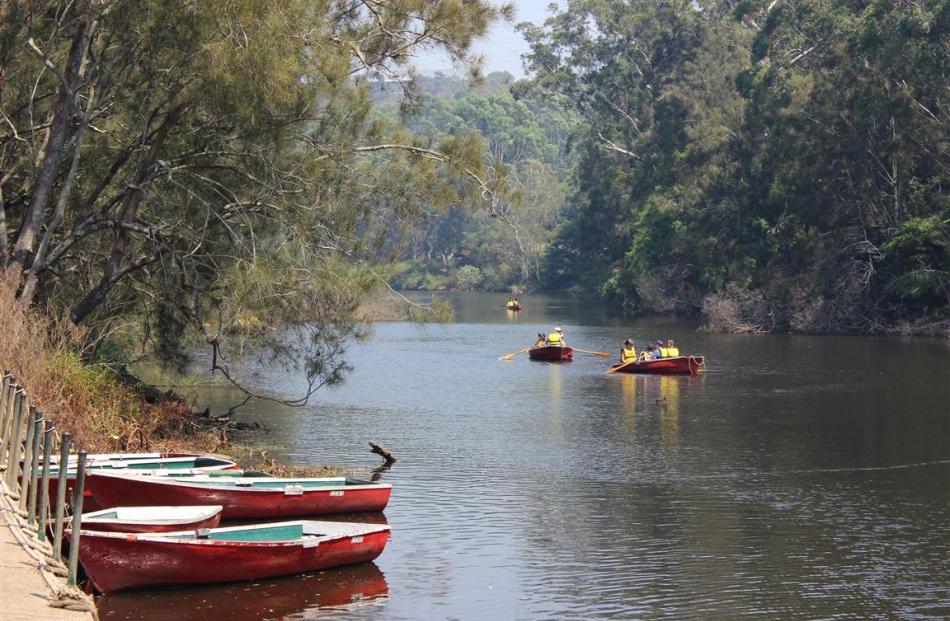 Rowboats on the Lane Cove River, in the middle of Sydney. PHOTO: ALLISON BECKHAM