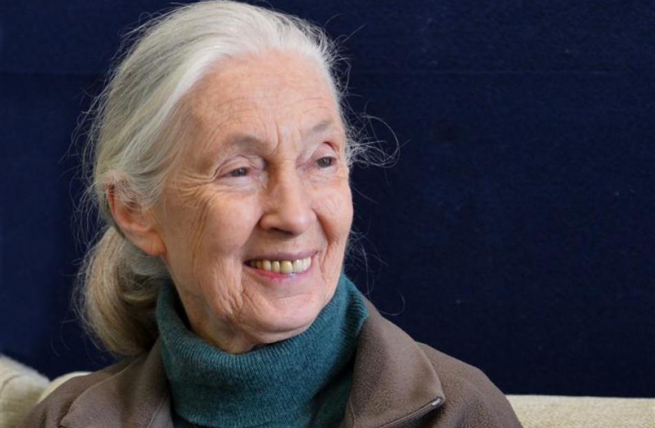 Dame Jane Goodall. Photos by Gerard O'Brien.